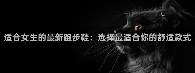 速8体育网