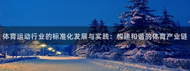 速8体育网：体育运动行业的标准化发展与实践：构建和谐的体育产业链