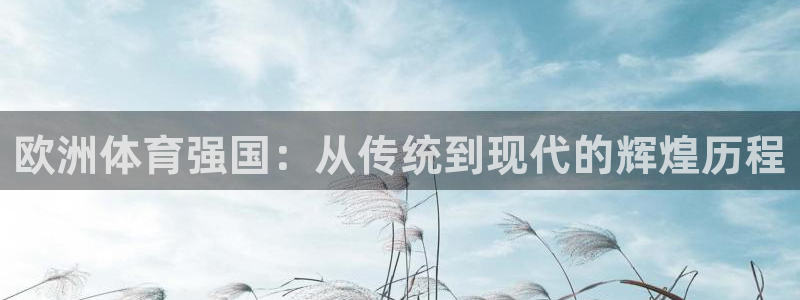 速8体育网
