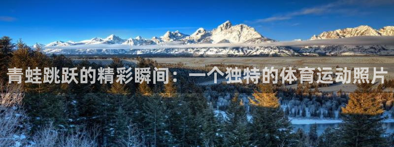 速8体育网