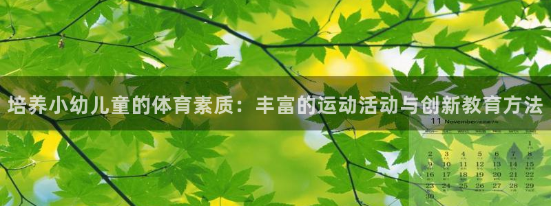 关键词：培养小幼儿童的体育素质：丰富的运动活动与创新教育方法