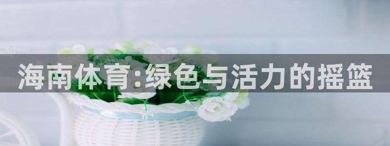 速8体育网：海南体育:绿色与活力的摇篮
