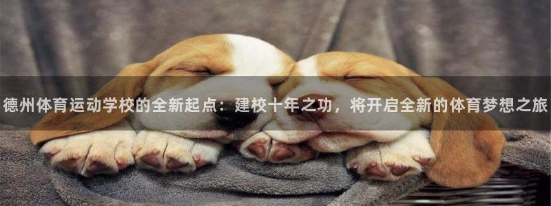 关键词