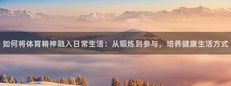 速8体育网