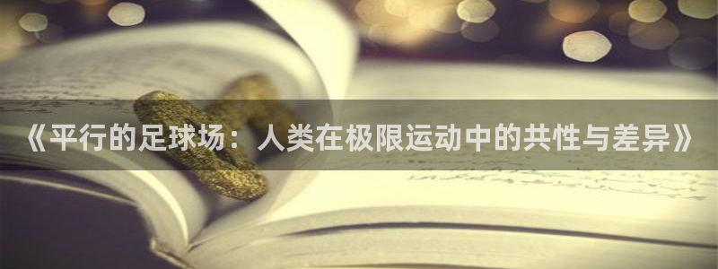 速8体育网