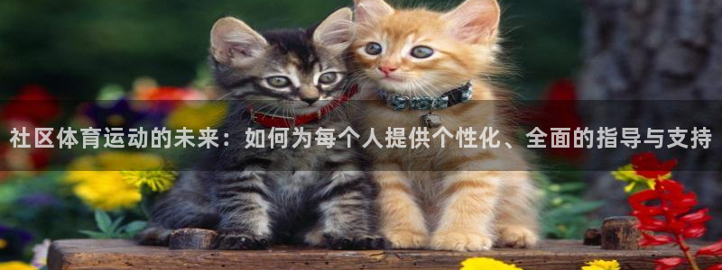 速8体育网